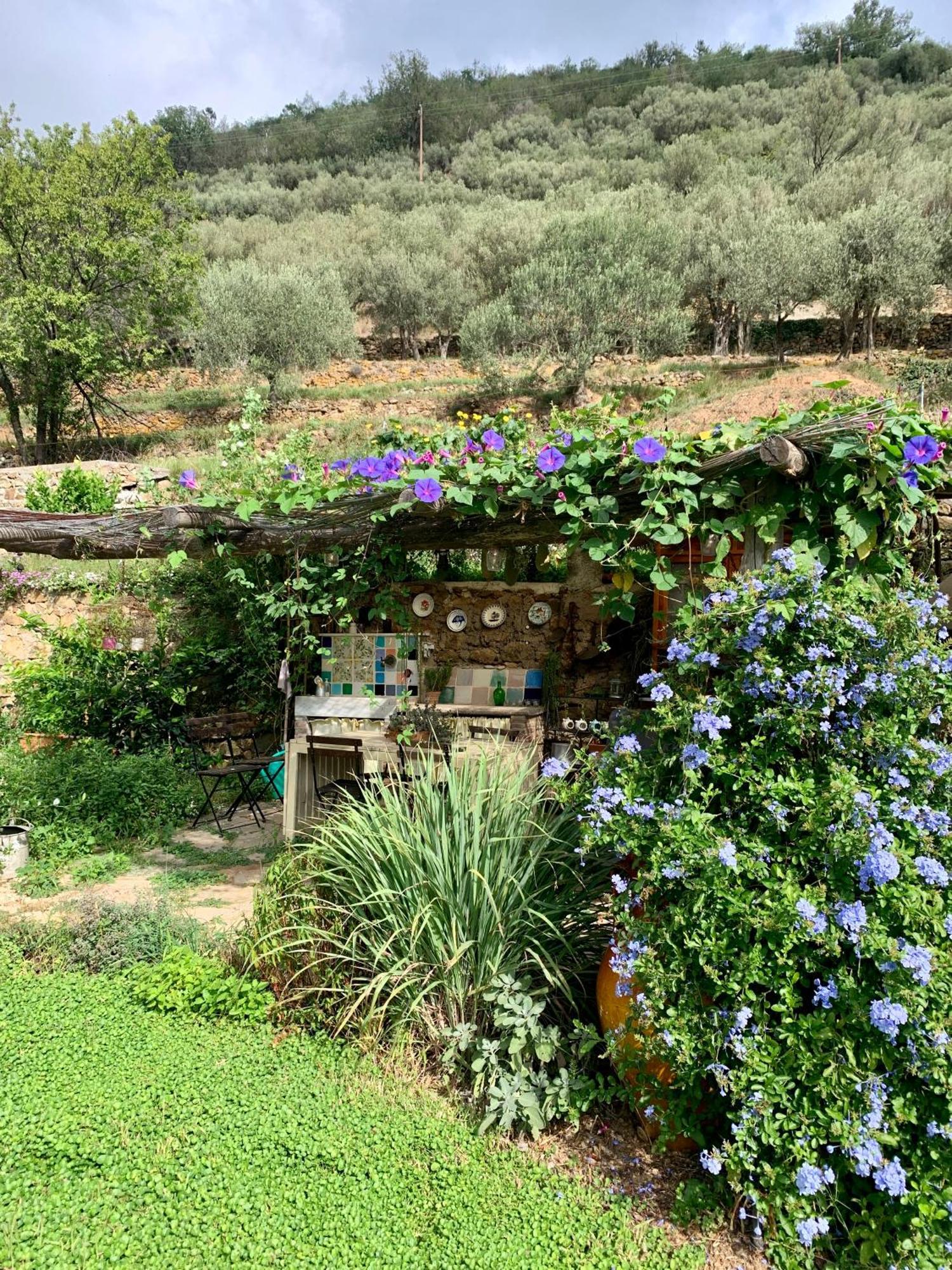 B&B Ca De Badin Noli Exterior photo